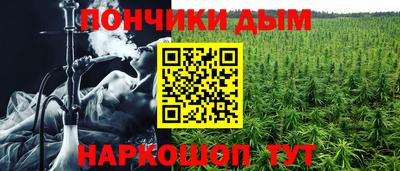ПСИЛОЦИБИНОВЫЕ ГРИБЫ Свободный